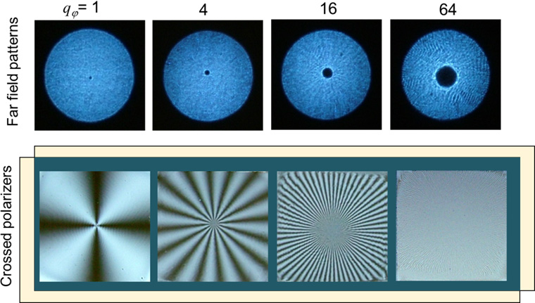  Vector Vortex Waveplates(VVW)